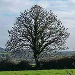 Nyaraló Rose Inagh