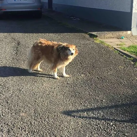 Rose Vakantiehuis Inagh