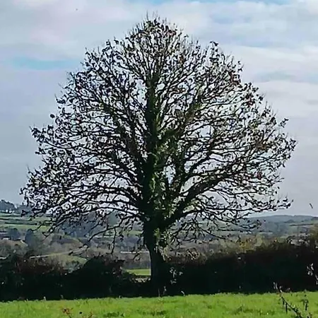 Vakantiehuis Rose Inagh