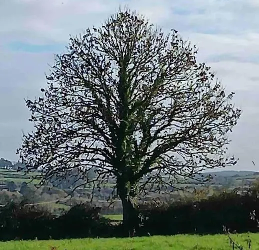 Dom wakacyjny Rose Inagh